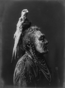 Edward S. Curtis. “Two Whistles - Apsaroke”.