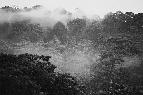 wandering