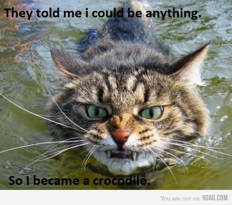 9gag:  Crocodile Style… Close Enough 