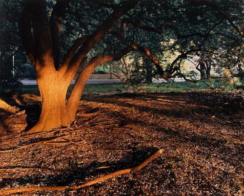 Central Park, north of the Obelisk, behind the Metropolitan Museum of Art, New York, May 1993
“  “Jennifer Levin and Robert Chambers were seen leaving Dorrian’s Red Hand, an Upper East Side bar, at 4:30 A.M. on August 26, 1986. Her body was found...