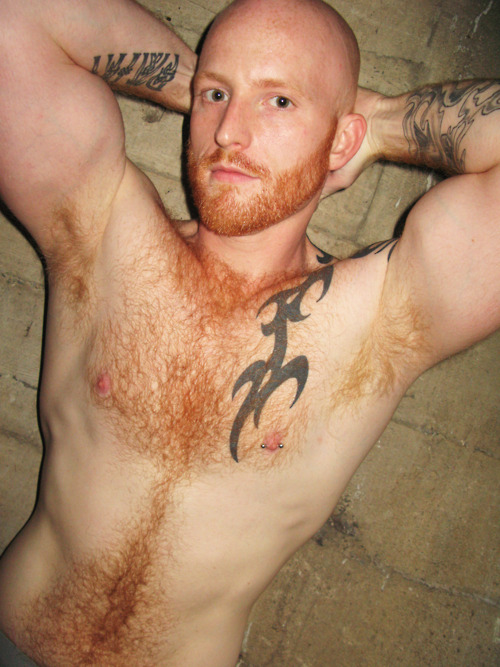 thegingermilitia:  Red Chest Hair, Red Arm Hair, and a Tat..
