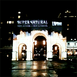 heywinchest:  Supernatural Season Five Promotion. Marble Arch, London. [x] 