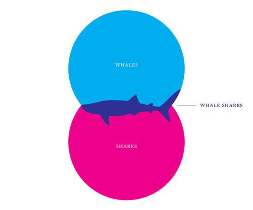 Sex warbyparker:  Identity Crisis by Mason Phillips. pictures