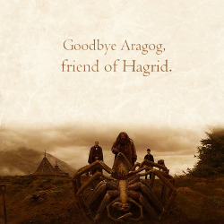  Goodbye Aragog, friend of Hagrid. 