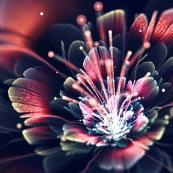 coloredmondays:  3D Fractal Flowers by Chiara