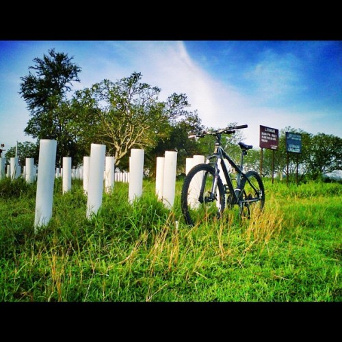 dnlkurniawan: BlackJack // 10.02.12 #instagram #bicycle #mountainbike #XC #mtb (Taken with instagram