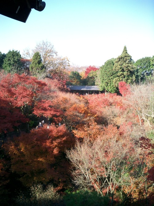 紅葉の京都 東福寺