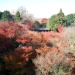 紅葉の京都 東福寺