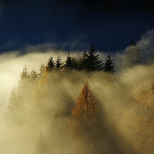 allthingseurope:  Ravascletto, Friuli-Venezia Giulia, Italy (by Elido Turco, Gigi)