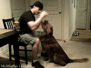 gioespinuevaa:  be my dog, please.  no, it&rsquo;s my dog!