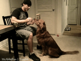 gioespinuevaa:  be my dog, please.  no, it&rsquo;s my dog!
