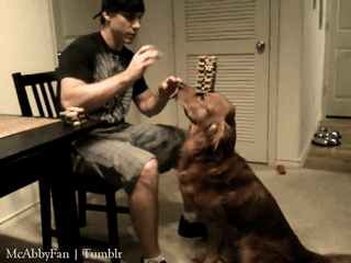 gioespinuevaa:  be my dog, please.  no, it&rsquo;s my dog!