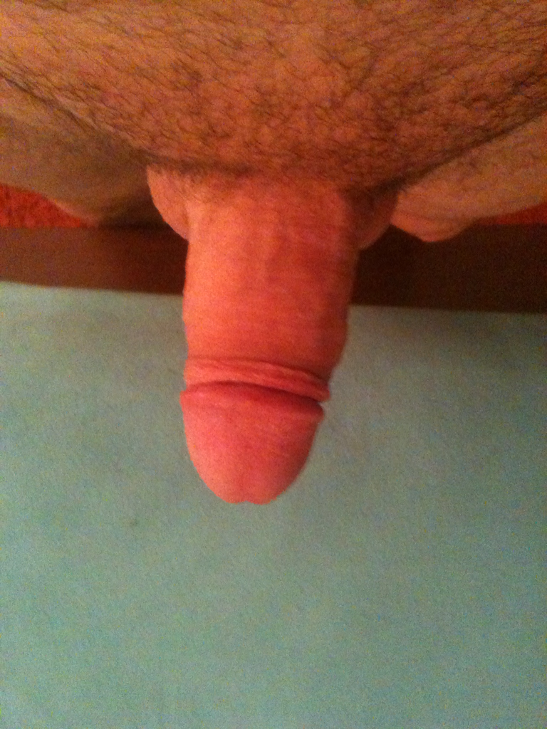 meandmybear:  My dick, please reblog 
