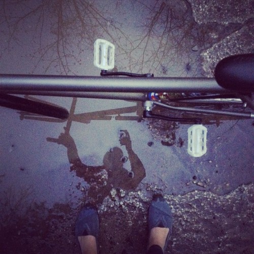 yblehs: I stop to play in the puddles