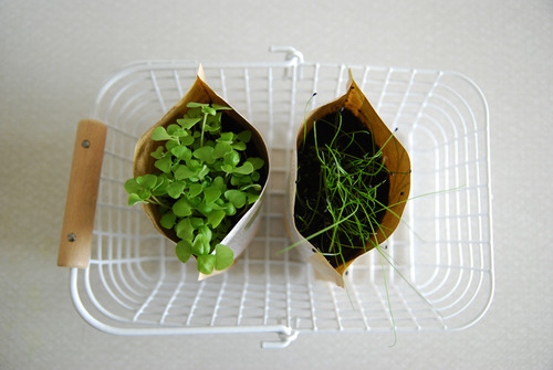 youthzest:  ✰ Modern/Fresh Blog ✰ 
