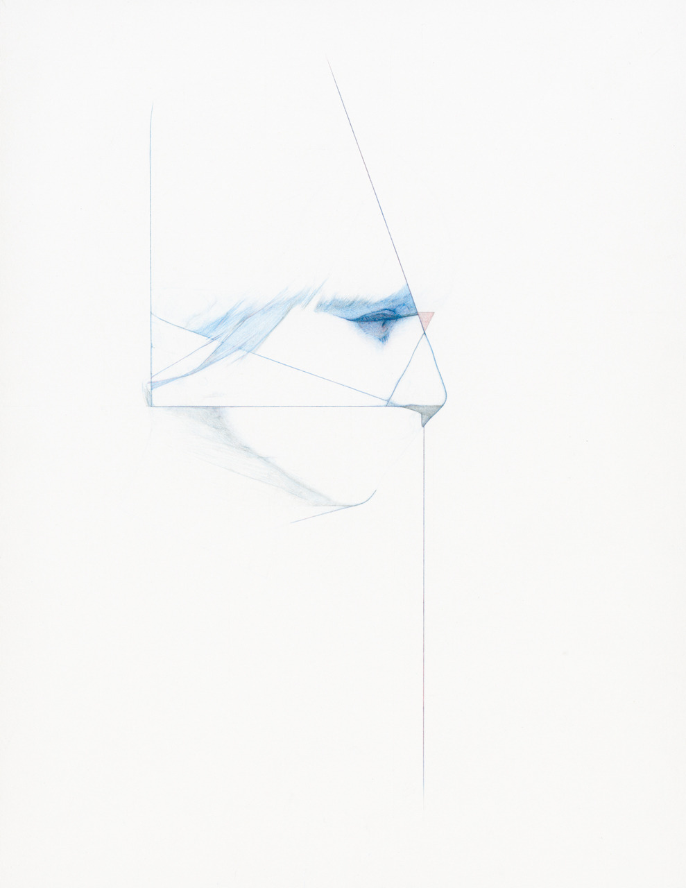 svdp:   fluffed (2) 11x8.5 colored pencil and graphite on paper 2012 by steve-kim