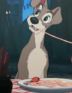 the-absolute-best-gifs:  Via/Follow The Absolute