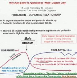 sexualfemininesuperiority:  EVERY FEMALE SHOULD READ, STUDY &amp; DOWNLOAD THIS  (http://howtotrainyourmale.tumblr.com/) Just like a battery However, He needs to be Totally Drained or Milked Completely Dry at least once a month. His Balls need to