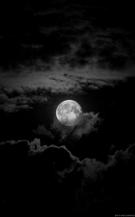 Witchcraft and Nature and Gods, OH MY!