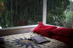       I’d love to sit there and just drink my tea, listening to the rain       I’d love to have sex there and listen to the rain between moans     there are two kinds of people      &hellip;I just wanna nap it out there.