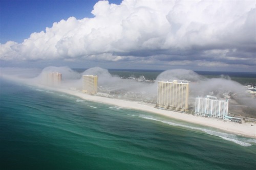 lizeeagainsttheworld:Spectacular ‘cloud tsunami’ rolls over Florida high-rise condos2.10.12 Florida
