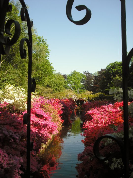 Keukenhof, Lisse, Netherlands