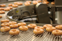 mochacafe:  (via 19-ninefeethigh)  I miss Krispy Kreme being so close and watching them make their doughnuts and getting the HOT GLAZED DOUGHNUTS! Screw Chick-Fil-A hahaha jk, but I want some doughnuts now.