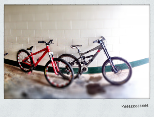 i-ride-big-bikes: My babies
