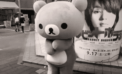 (ﾉ◕ ヮ ◕)ﾉ*･✧Kawaiii*･✧