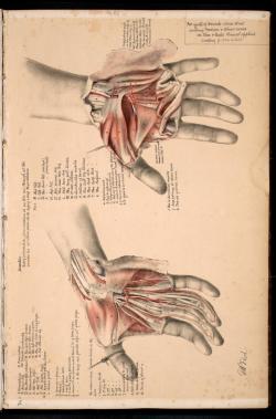 medical-illustration:  George Henry Ford1867 