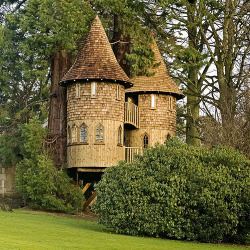 bluepueblo:  Treehouse, Kilmarnock, Scotland photo via christopher 