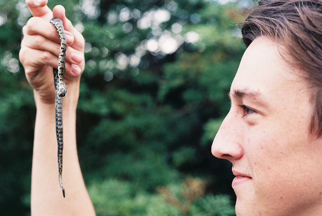 c0llaris:  snake by ed james harding on Flickr. 