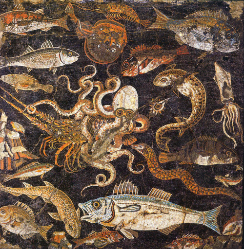triglifos-y-metopas: Marine fauna House of L. Aelius Magnus Pompeii, Italy [Museo Archeologico Nazio