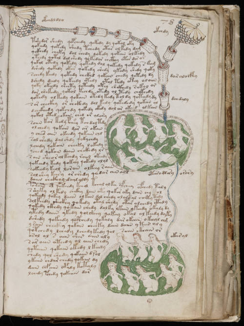 witchsauce:  The Voynich Manuscript is a 240-page book written in an unkown language. Its pages are filled with colorful drawings of strange diagrams, odd events and plants that don’t match any known species, adding to the intrigue of the document