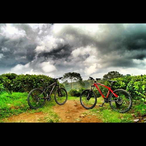 dnlkurniawan: Ready!! @ecclelucas #instagram #mountain #MTB (Taken with instagram)