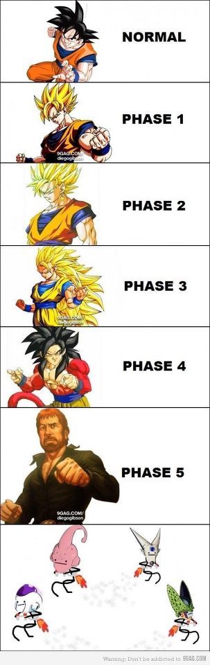 Chuck norris dragon ball meme