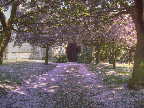 enchantedengland:   Heydon is an isolated village in the large eastern county of Norf