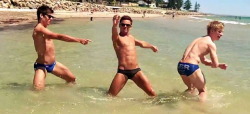 yellowasian:  Tom Daley 