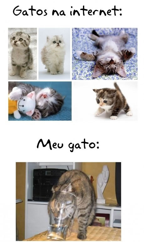 Sentimentos de Fã