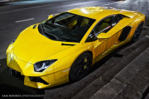 sammoores:  New Kid on the Block (by Sam Moores Photography) 