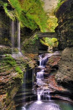 bluepueblo:   Watkins Glen State Park, New York   photo via julie   I&rsquo;ve reblogged this before, haven&rsquo;t I? Well who cares. It&rsquo;s nice.