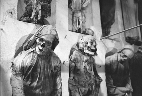 godfreyyouth:Palermo Catacombs by Dr. Paul Koudounaris, from The Empire of Death