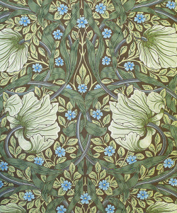 garlandmuse:  William Morris - Pimpernel