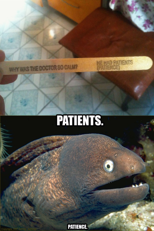 JUST FUNNY STUFF