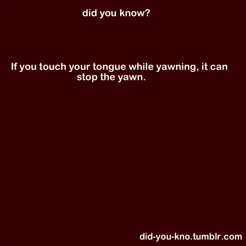 did you know?