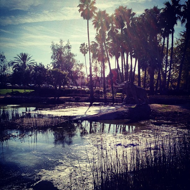 La Brea Tar Pit