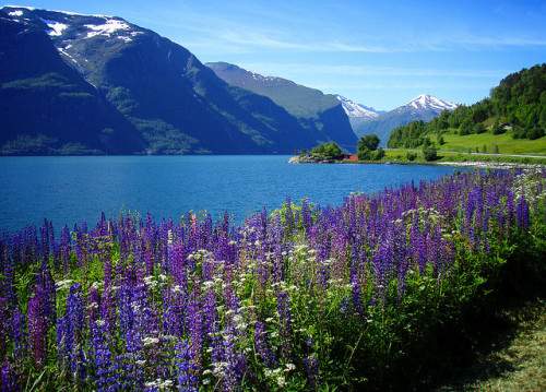 by Krogen on Flickr.Amazing view from Romsdalsfjord, the ninth longest fjord in Norway.