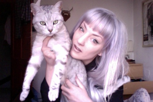 BLARRGGHHH I LOVE CATS SO MUCH. !!!!!!!!!!! adult photos