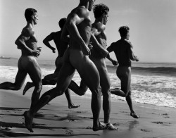 pornoisart:  Photo: Bruce Weber 