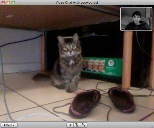 forsciencejohn: omg she recognizes me on video chat the third one